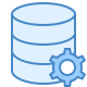 data engineering, database architecture design and implementation.